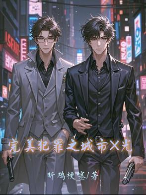 完美犯罪之城市X光